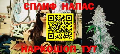 гидра Рязань
