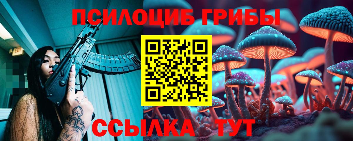 Галлюциногенные грибы мухоморы Новодвинск