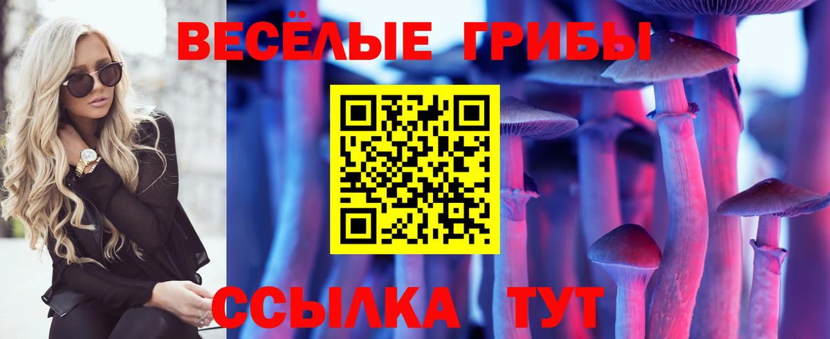 Новодвинск  Псилоцибиновые грибы GOLDEN TEACHER  Вход с VPN 